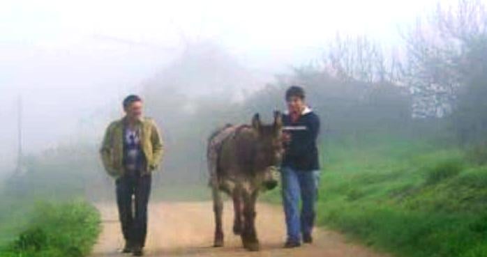 Cuidado com a Língua!