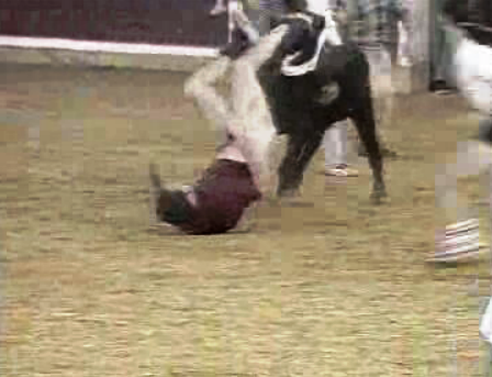 “Apanhados” da RTP