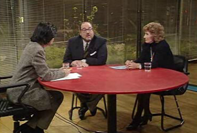 Os Direitos dos Cidadãos com Deficiências Mentais – Parte II