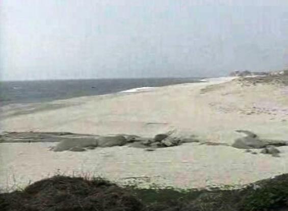 Naufrágio na Póvoa de Varzim