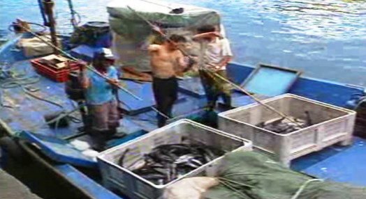 Apoio às pescas na Madeira