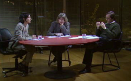 Interrupção Voluntária da Gravidez – Parte III