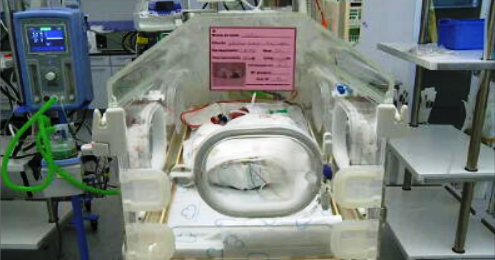 Primeiro bebé do Ano