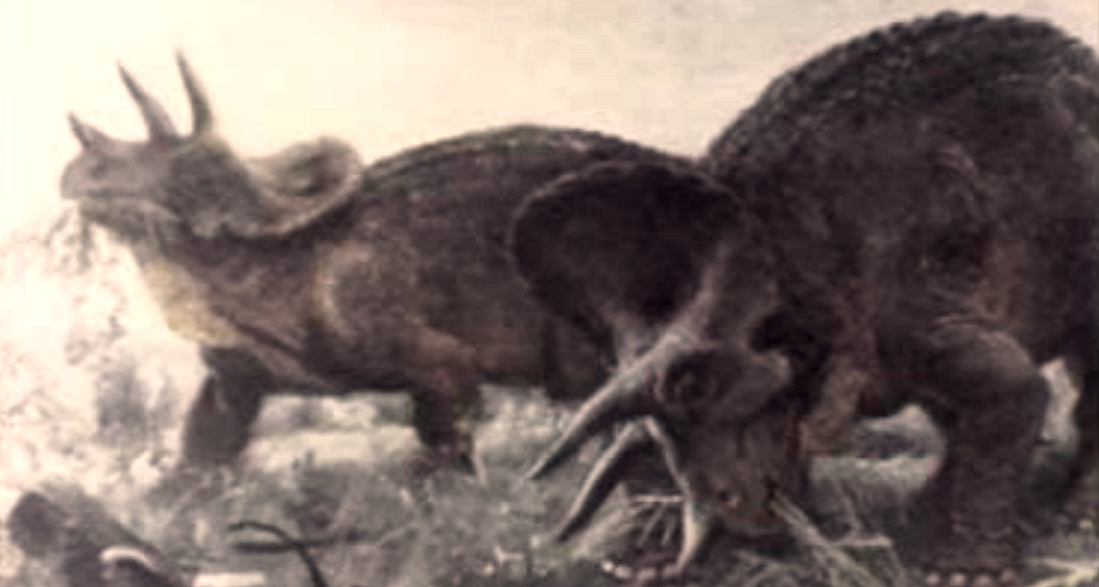 A Antiguidade da Terra