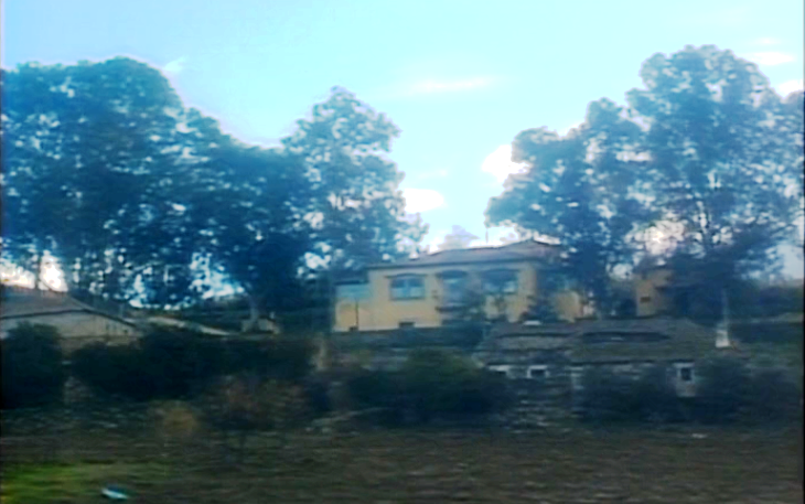 A Árvore