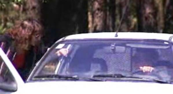 Apanhados – Parte I