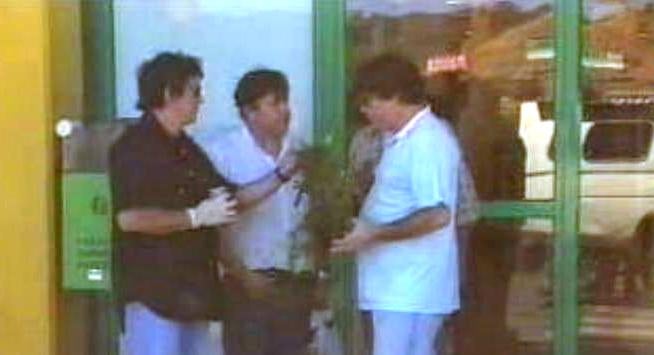 Apanhados – Parte I