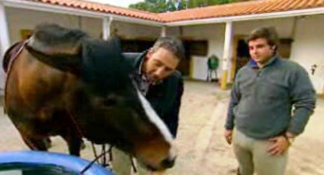 Cuidado com a Língua!