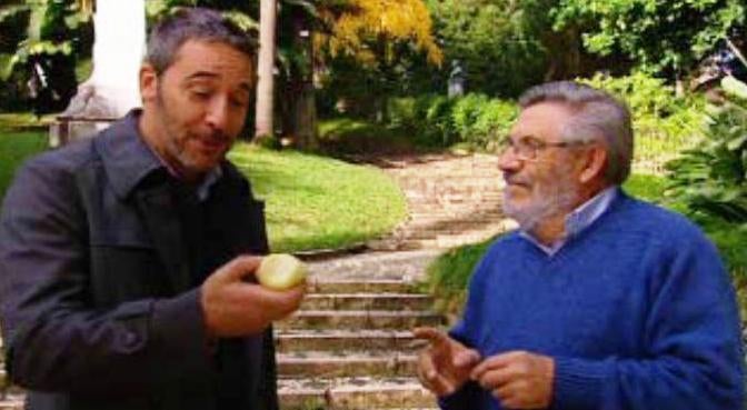 Cuidado com a Língua!