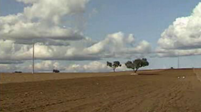 As Sementeiras – Parte II