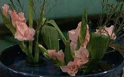 As Plantas – Parte II