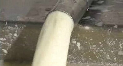 Queijos Portugueses – Parte II