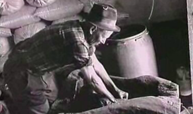 Desenvolvimento Local – Parte II