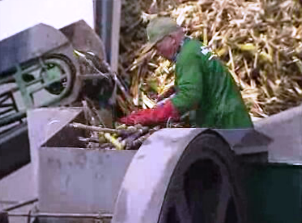 Escoamento de cana de açúcar