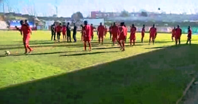 Futebol: antevisão Benfica vs Leixões