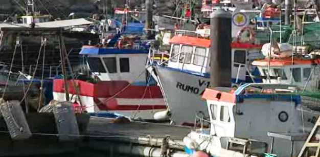 Queixas dos pescadores da sardinha