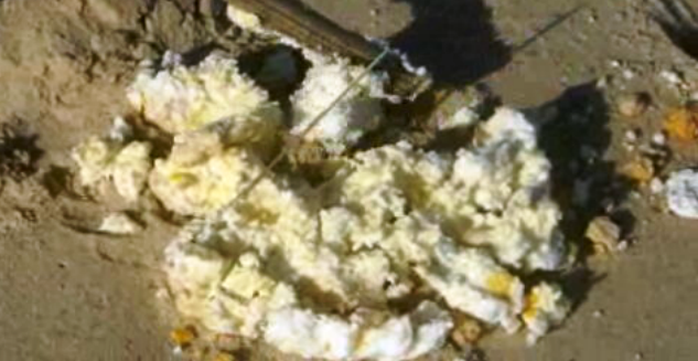 Poluição na Ria Formosa