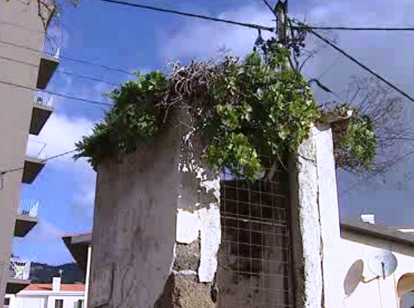 Relógios de Água na madeira