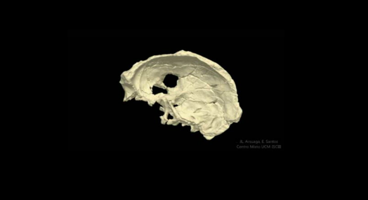 Descoberta de crânio com 400 mil anos