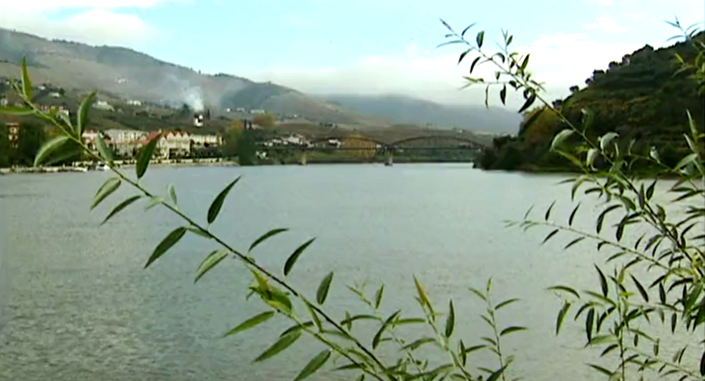 Rio Douro