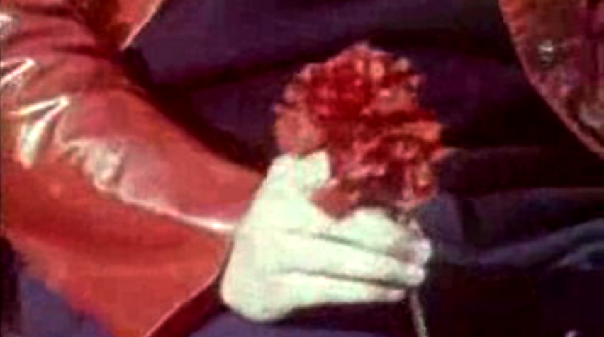 Retratos de uma Revolução – Parte II