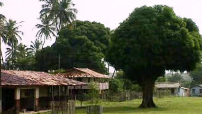 Brasil III – Parte I