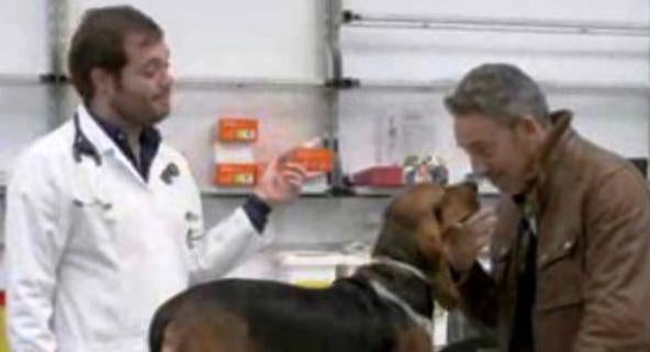 Cuidado com a Língua!