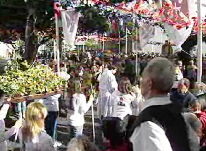 Festa de Santo Amaro