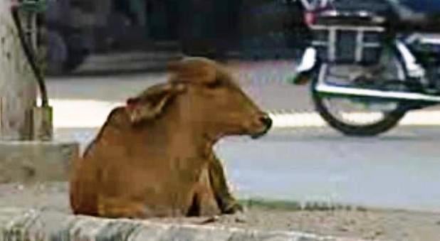 Índia III – Parte II