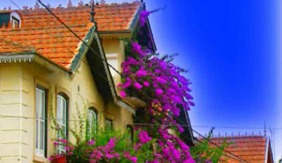 Lusitana Paixão – Episódio 114