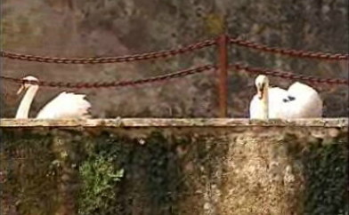 Lusitana Paixão – Episódio 27