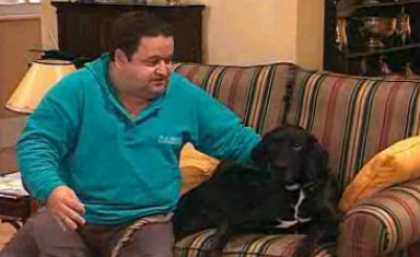 Procura-se Alvíssaras