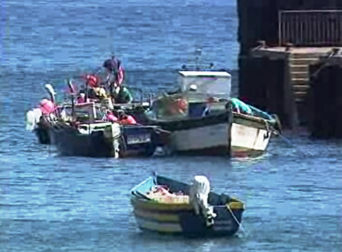 Pesca sustentável na Madeira
