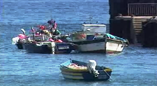 Pesca sustentável na Madeira