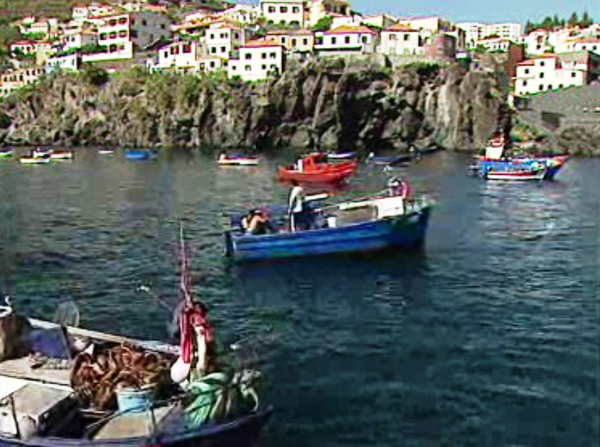 Apoio ao setor das pescas na Madeira
