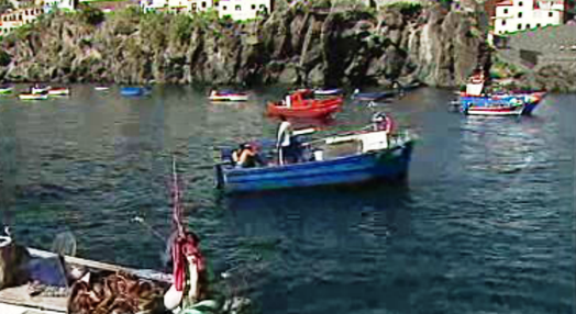 Apoio ao setor das pescas na Madeira