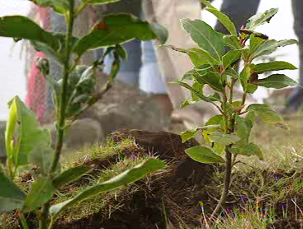 Prevenção de incêndios