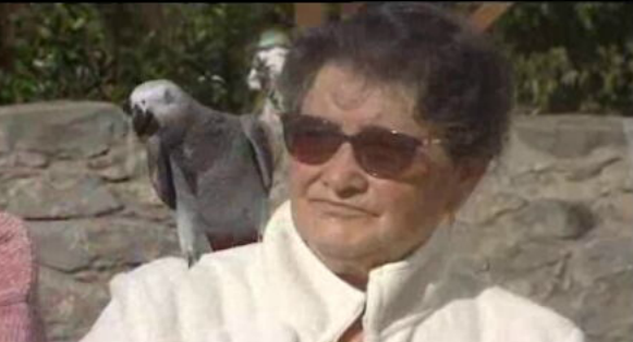 Bênção dos animais