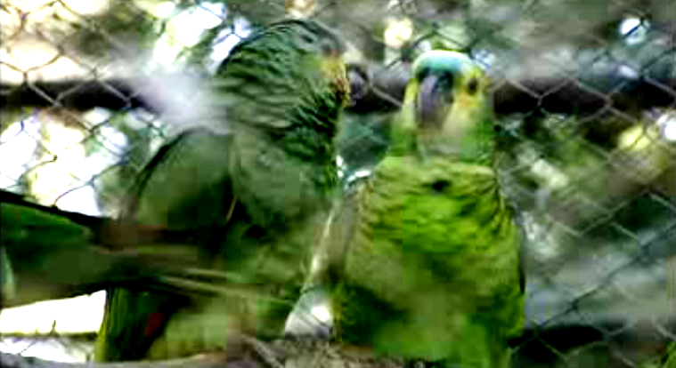 Brasil I – Parte II