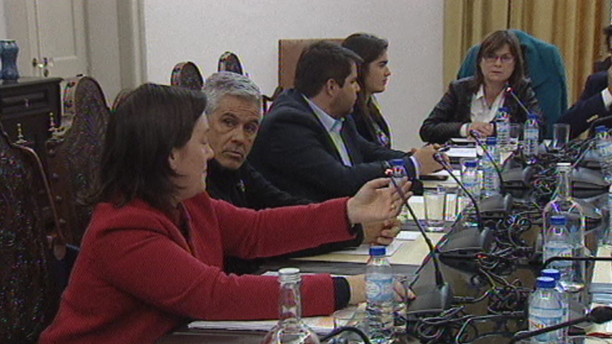 Audição parlamentar de José Dias