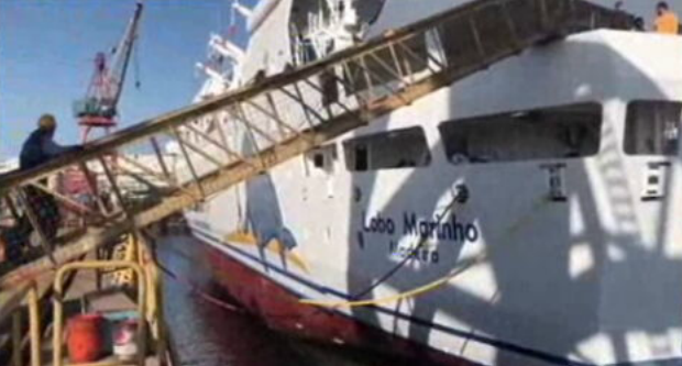 Regresso do “Lobo Marinho”