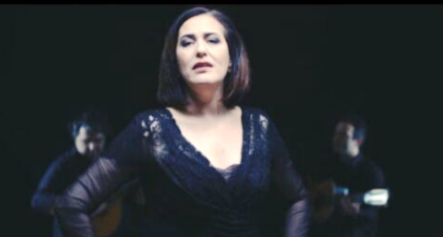 Espetáculo de Aldina Duarte