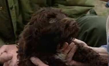 Sotavento Algarvio – Parte I