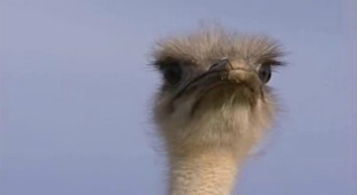 Alentejo – Natureza e Turismo Ativo