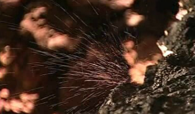 Açores – Terceira e Graciosa