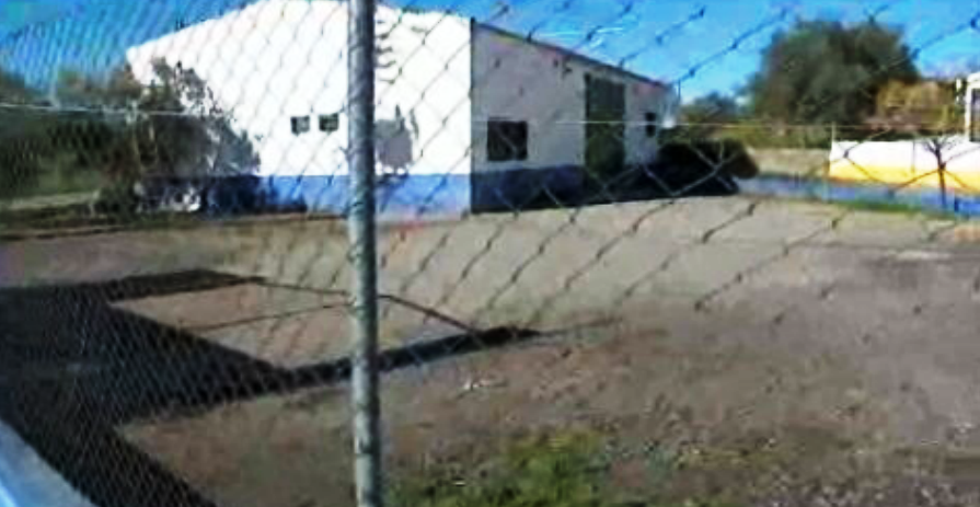 Trabalho escravo no Alentejo