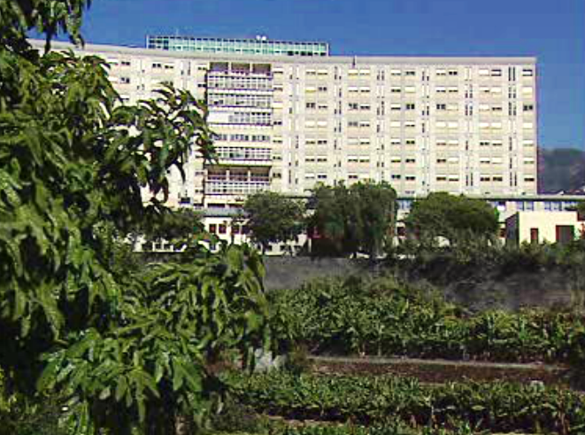 Conferência de imprensa do BE-Madeira