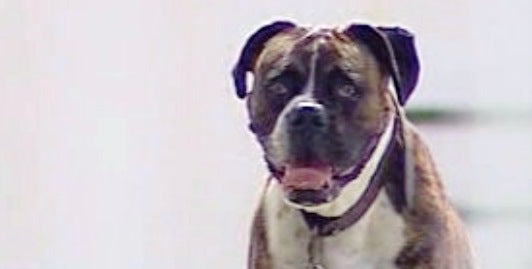 Ataques Improváveis