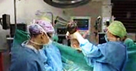 A Vida a 196 Graus Negativos