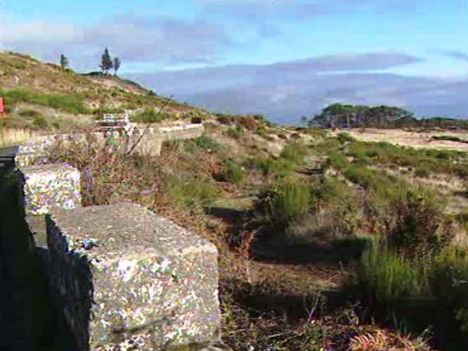 Recuperação do Parque Ecológico do Funchal